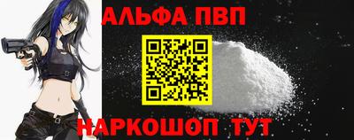 СК Бийск