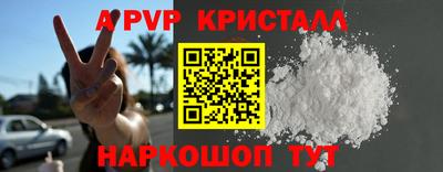 СК Бийск