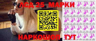 СК Бийск