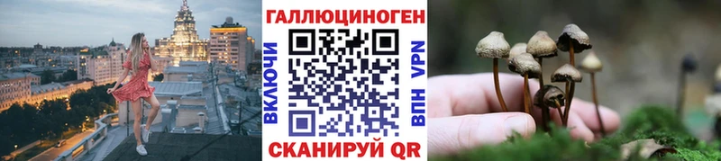 Псилоцибиновые грибы мухоморы  где найти наркотики  Большой Камень 