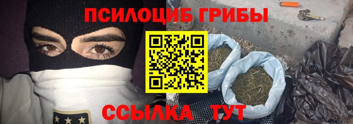 Псилоцибиновые грибы GOLDEN TEACHER  Галлюциногенные грибы ЛСД  наркошоп  Большой Камень  Вход с VPN 